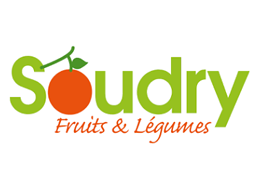 Logo Soudry